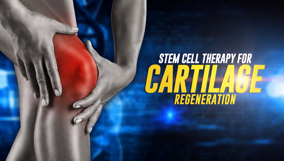 Injectable stem cell assembly for cartilage regeneration