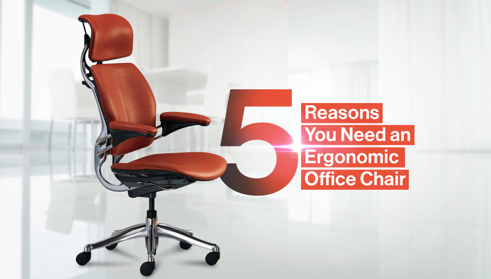 5 Reasons You Need An Ergonomic Office Chair